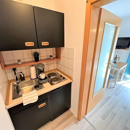 Cozy Apartment Bavarian Forest +Pool +Sauna +Netflix Zwiesel Exterior foto