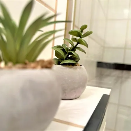 Cozy Apartment Bavarian Forest +Pool +Sauna +Netflix Zwiesel Exterior foto